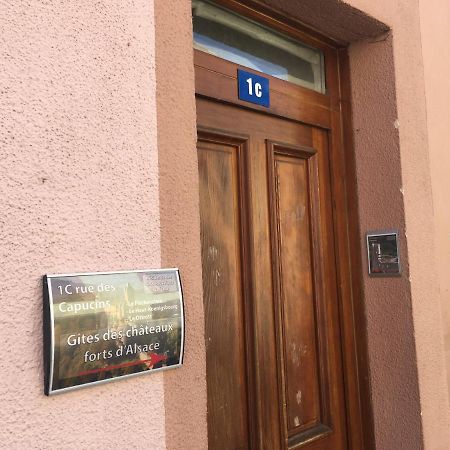 Le Gite 6 - Le Chateau Du Haut-Koenigsbourg ซิลิสตาต์ ภายนอก รูปภาพ